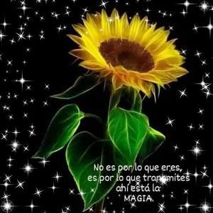 Meet your Posher, Idalmis